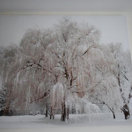 Longview House Bed and Breakfast Ballymoney Buitenkant foto