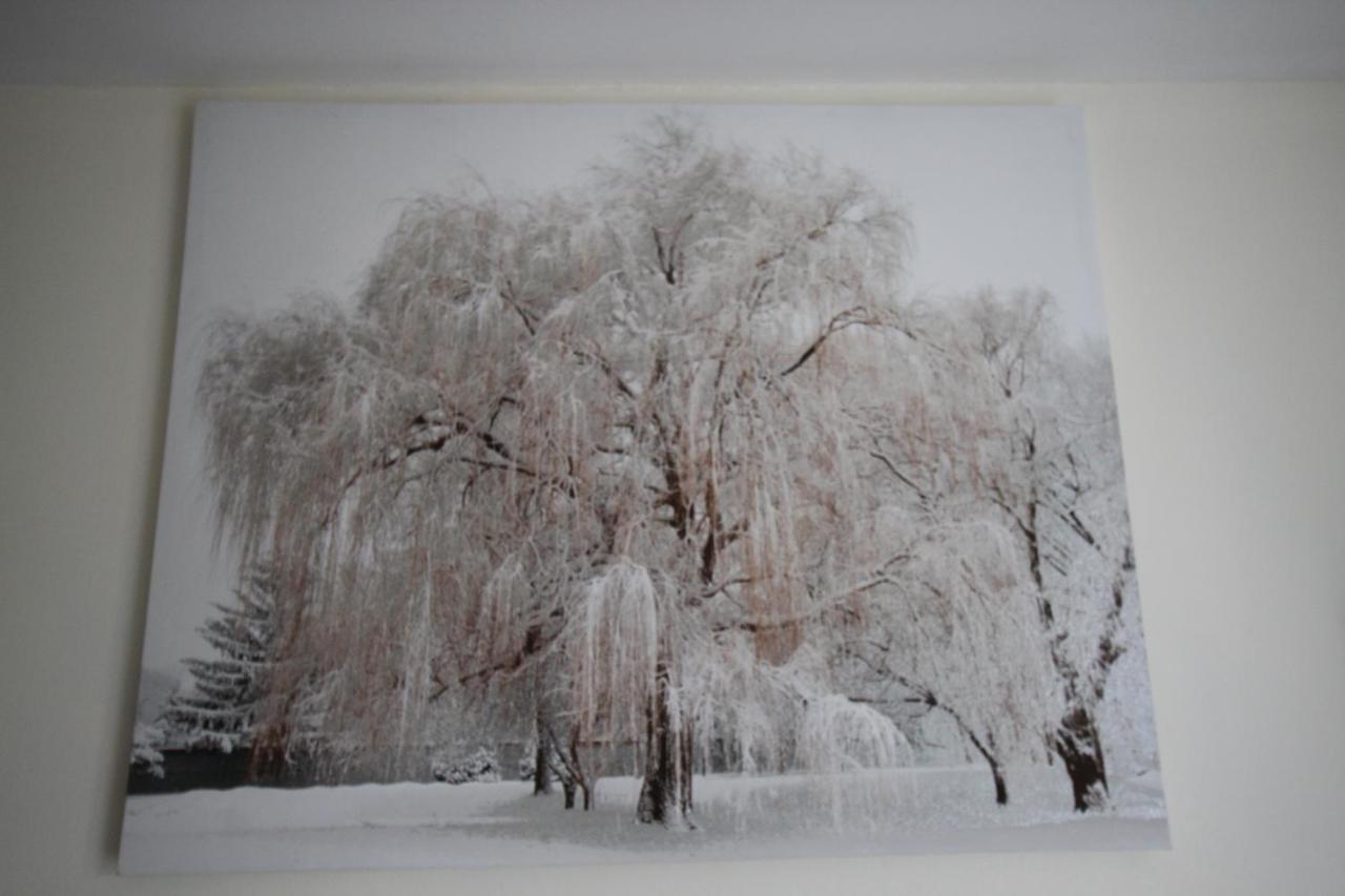 Longview House Bed and Breakfast Ballymoney Buitenkant foto